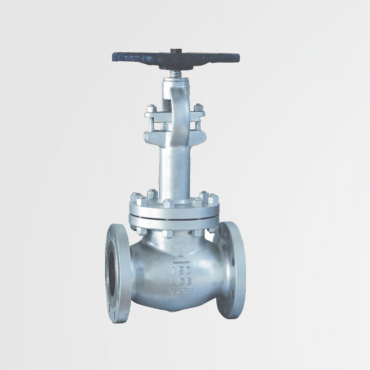 Cryogenic globe valve